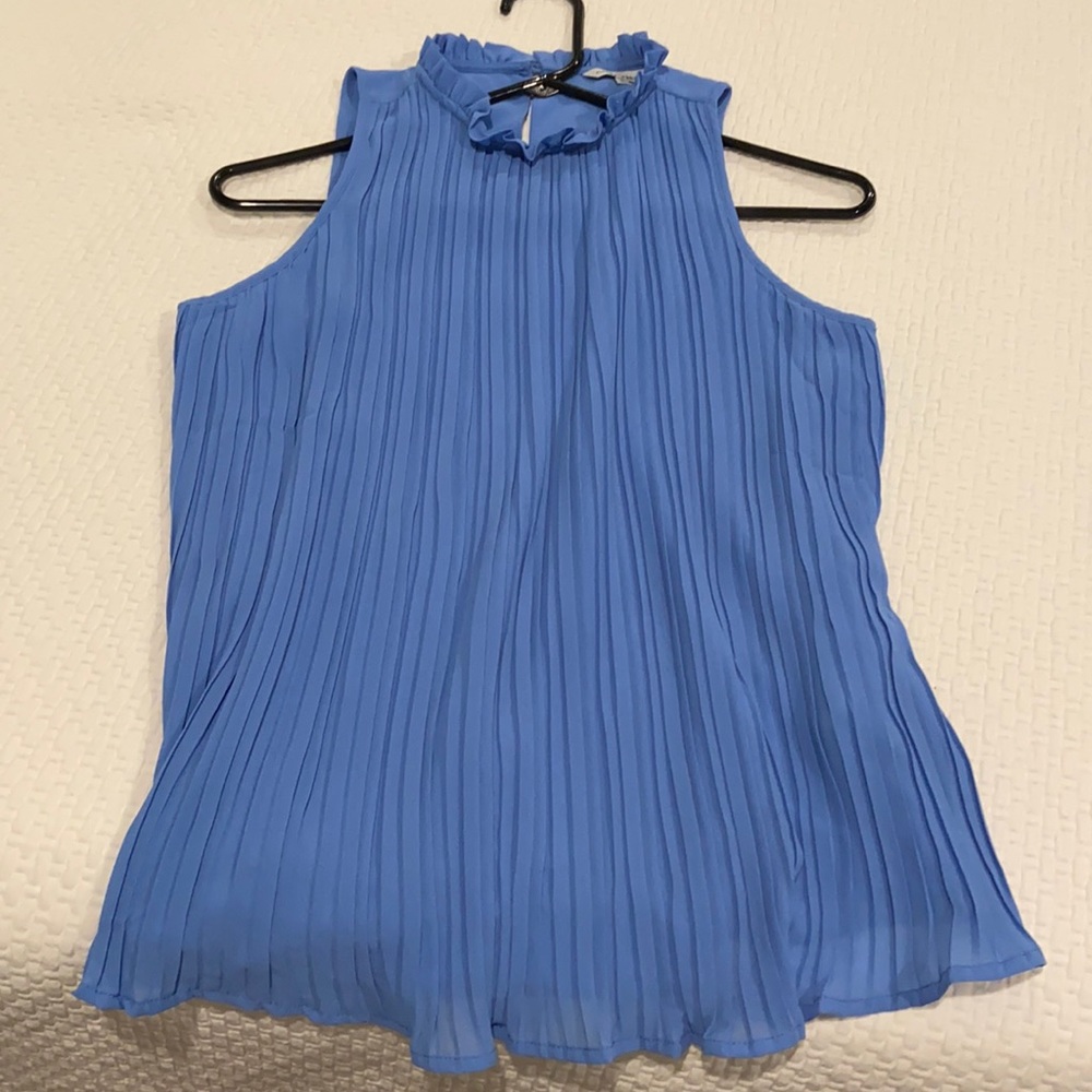 Naked Zebra sky blue sleeves top. Never worn